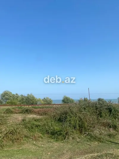 10 sot, Tikinti, Kupça (Çıxarış) — kiçik şəkil 8