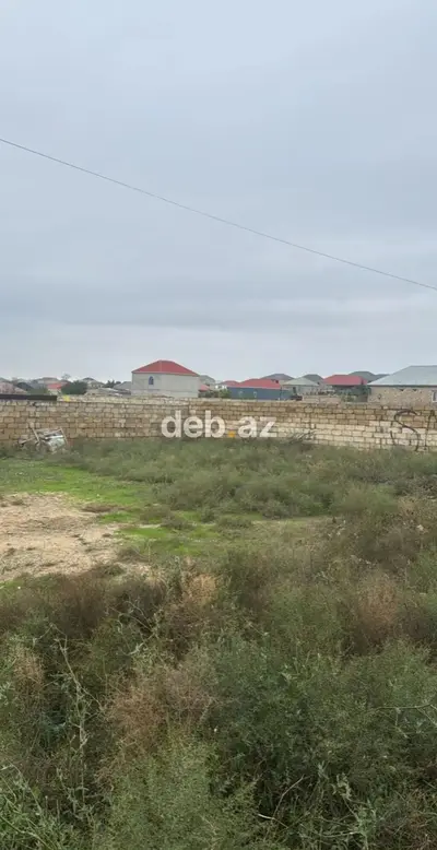 Tikinti, Kupça (Çıxarış) — kiçik şəkil 7