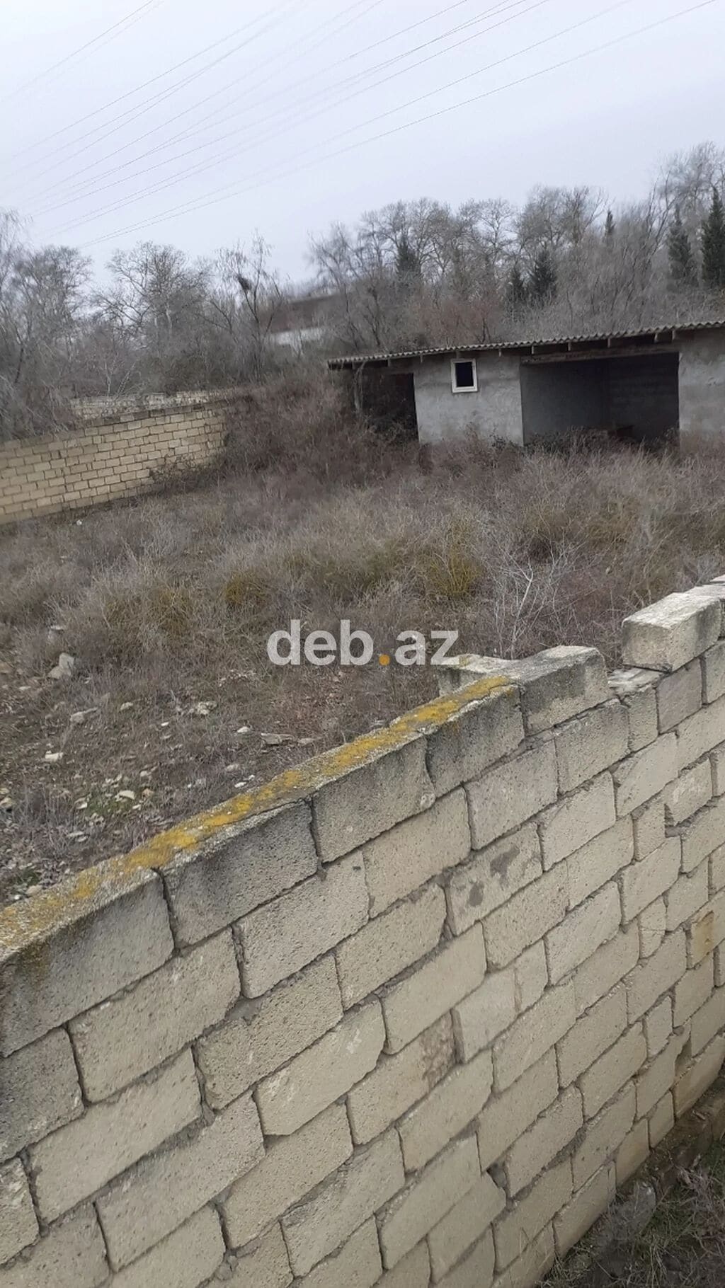 17 sot, Tikinti, Mülkiyyətçi, Kupça (Çıxarış) — şəkil 1