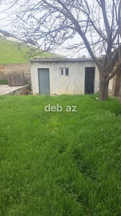 12 sot, Tikinti, Kupça (Çıxarış) — kiçik şəkil 3