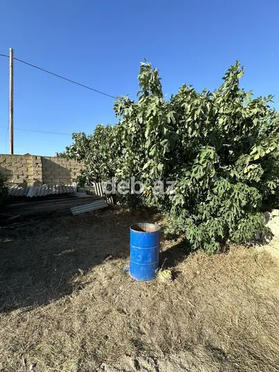 4 sot, Tikinti, Maklerlər narahat etməsin, Kupça (Çıxarış) — kiçik şəkil 4
