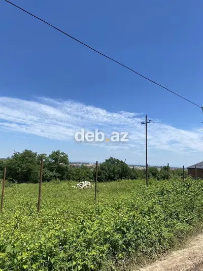 7 sot, Tikinti, Mülkiyyətçi, Kupça (Çıxarış) — kiçik şəkil 3