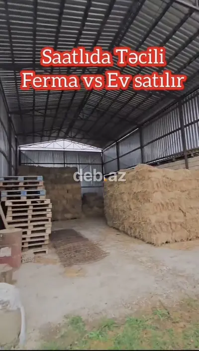 15 otaq, 1000 kv. m, Kredit yoxdur, Təmirsiz — kiçik şəkil 13