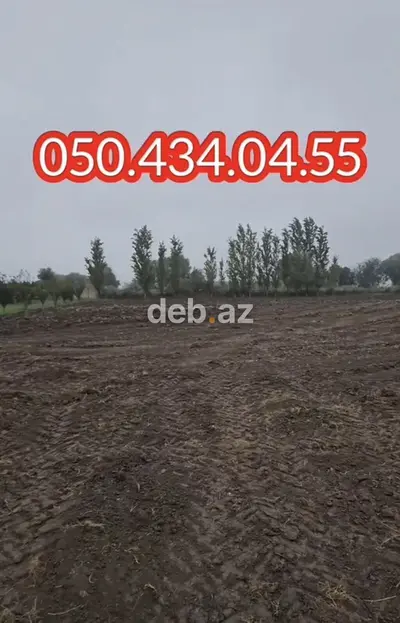 15 otaq, 1000 kv. m, Kredit yoxdur, Təmirsiz — kiçik şəkil 9