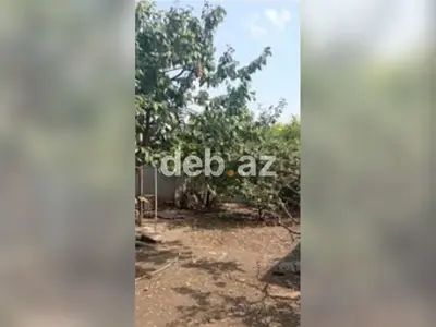 Gəncədə asfalt yola çıxışı olan, meyvə bağçalı və geniş həyətli fərdi yaşayış evi satılır — kiçik şəkil 1