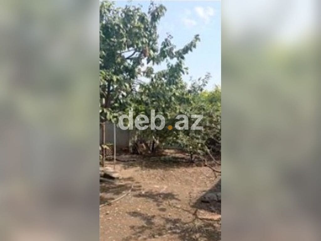 Gəncədə asfalt yola çıxışı olan, meyvə bağçalı və geniş həyətli fərdi yaşayış evi satılır — şəkil 1