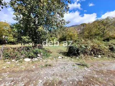 6 sot, Tikinti, Mülkiyyətçi, Kupça (Çıxarış) — kiçik şəkil 6