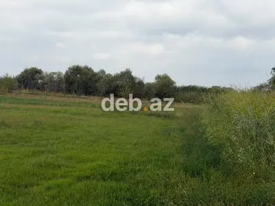 1.14 hektar (114 sot) kənd təsərrüfatı təyinatlı sənədli torpaq sahəsi satılır — kiçik şəkil 11