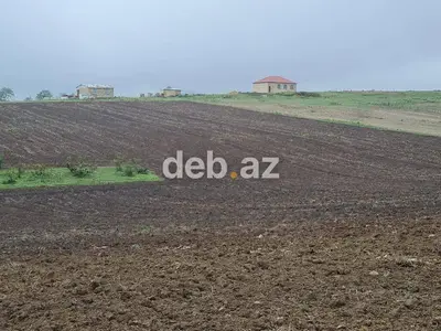 100 sot, Kənd təsərrüfatı, Mülkiyyətçi, Kupça (Çıxarış) — kiçik şəkil 14