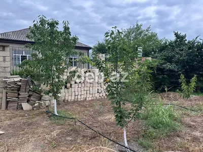 3 otaqlı, 115 kv. m, Yeni təmirli — kiçik şəkil 10