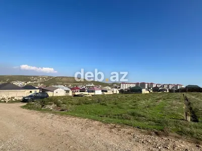 5 sot, Kənd təsərrüfatı — kiçik şəkil 10