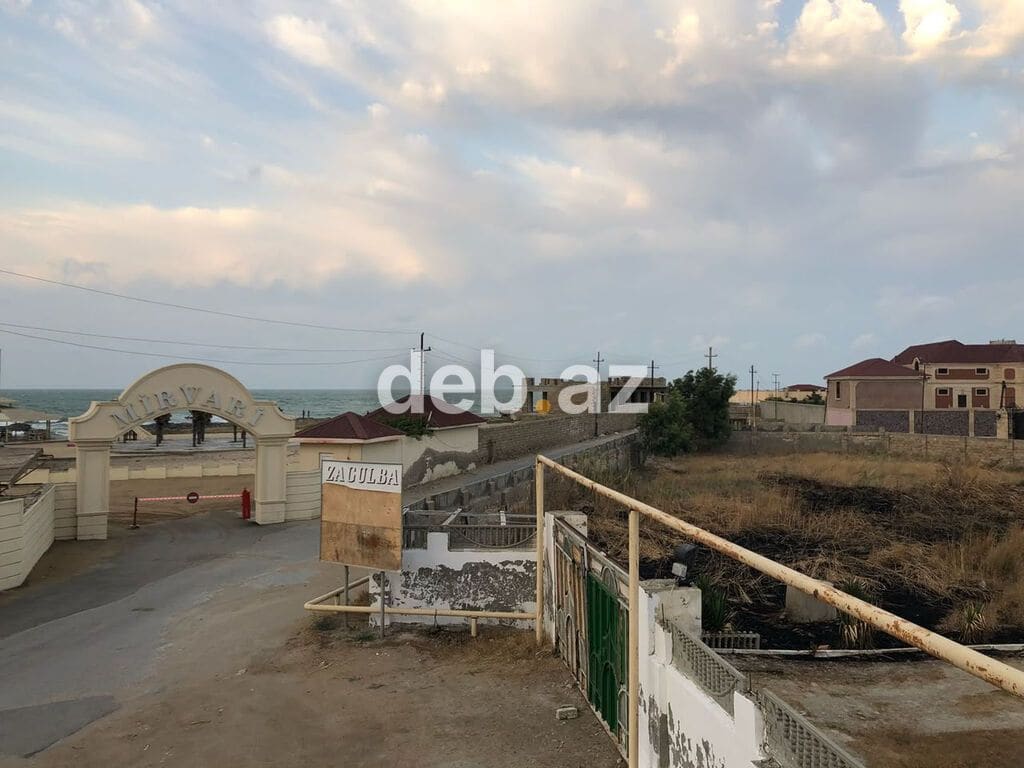 50 sot, Tikinti, Kupça (Çıxarış) — şəkil 1