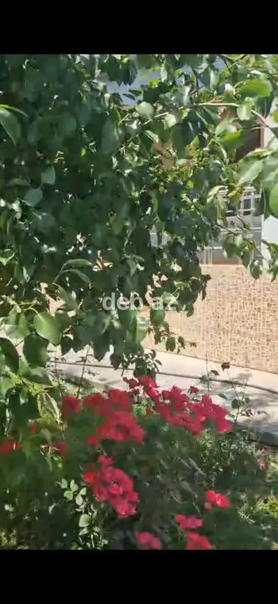 Qebelede Heyet Evi Satilir — Asan Xidmətə Yaxın Paket Kupçalı 6 Sotda Ev — kiçik şəkil 2