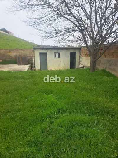 12 sot, Tikinti, Kupça (Çıxarış) — kiçik şəkil 10