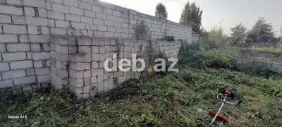 6 sot, Tikinti, Kupça (Çıxarış) — kiçik şəkil 3