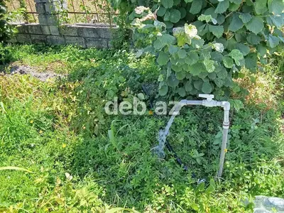8 sot, Kənd təsərrüfatı, Mülkiyyətçi, Kupça (Çıxarış) — kiçik şəkil 1