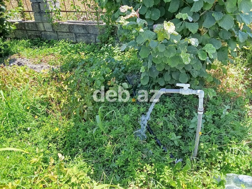 8 sot, Kənd təsərrüfatı, Mülkiyyətçi, Kupça (Çıxarış) — Bakı