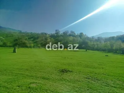 14 sot, Tikinti, Mülkiyyətçi, Kupça (Çıxarış) — kiçik şəkil 1
