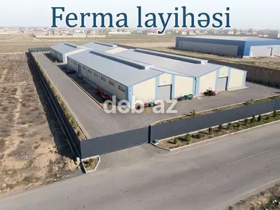 50 sot, Kənd təsərrüfatı, Mülkiyyətçi, Kupça (Çıxarış) — kiçik şəkil 8