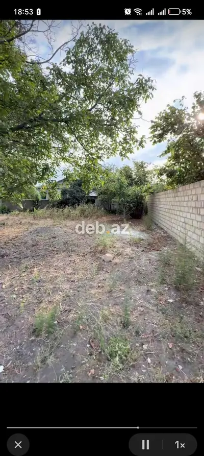 10 sot, Tikinti, Barter mümkündür, Kupça (Çıxarış) — kiçik şəkil 10