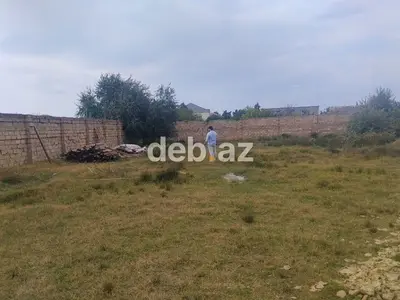 6 sot, Tikinti, Mülkiyyətçi, Kupça (Çıxarış) — kiçik şəkil 2