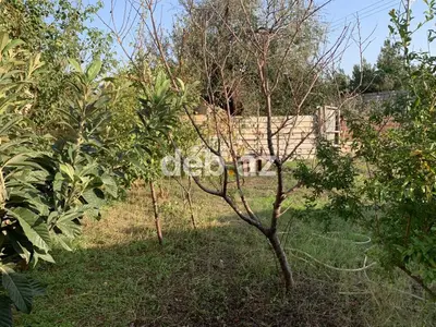 2 sot, Tikinti — kiçik şəkil 3