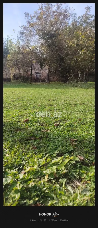 8 sot, Tikinti, Mülkiyyətçi, Kupça (Çıxarış) — kiçik şəkil 4