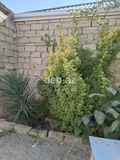 Buzovnada Yola Yaxın 3 Otaqlı Tam Təmirli Həyət Evi Satılır — kiçik şəkil 4