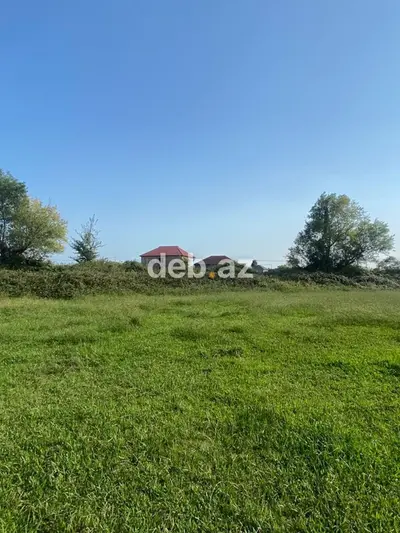 10 sot, Tikinti, Kupça (Çıxarış) — kiçik şəkil 1