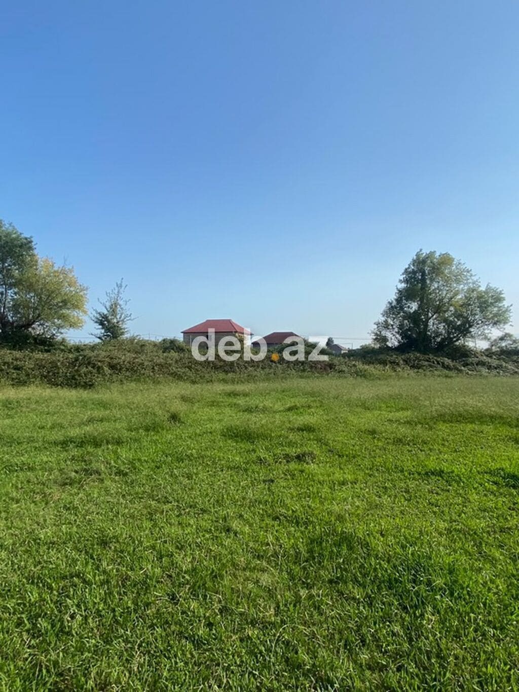 10 sot, Tikinti, Kupça (Çıxarış) — şəkil 1