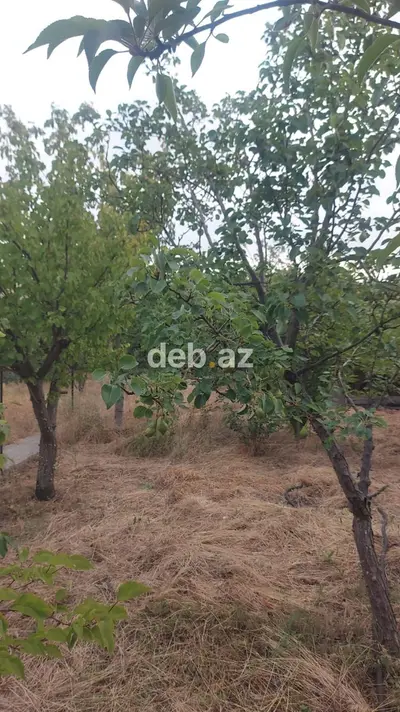 Bakı, 250 kv. m, 6 otaqlı, Kombi, Qaz, İşıq — kiçik şəkil 5