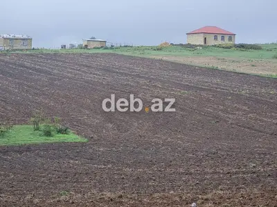 100 sot, Kənd təsərrüfatı, Mülkiyyətçi, Kupça (Çıxarış) — kiçik şəkil 15