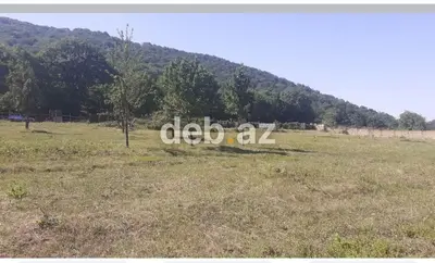 43 sot, Tikinti, Kupça (Çıxarış) — kiçik şəkil 3