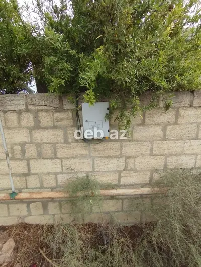 8 sot, Kənd təsərrüfatı, Mülkiyyətçi, Kupça (Çıxarış) — kiçik şəkil 7