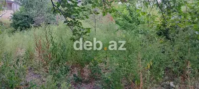 6 sot, Tikinti, Mülkiyyətçi — kiçik şəkil 2