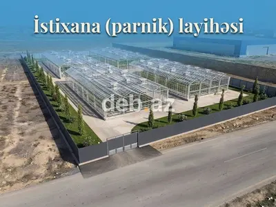 50 sot, Kənd təsərrüfatı, Mülkiyyətçi, Kupça (Çıxarış) — kiçik şəkil 11