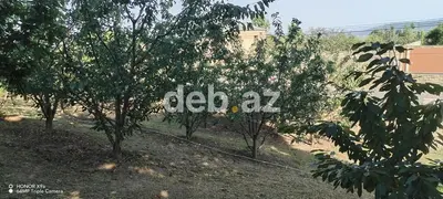 10 sot, Tikinti, Mülkiyyətçi, Kupça (Çıxarış) — kiçik şəkil 9