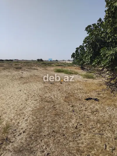 Turkan qes.Qizilqumda.denizden 180 metr arali.Denize panarama goruntu — kiçik şəkil 5