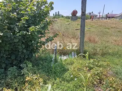 8 sot, Kənd təsərrüfatı, Mülkiyyətçi, Kupça (Çıxarış) — kiçik şəkil 5