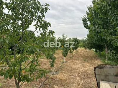 3 otaqlı, 115 kv. m, Yeni təmirli — kiçik şəkil 11
