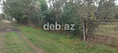 Xaçmaz rayonu, Həsənqala kəndində 20 sot fındıq bağı və tikinti — kiçik şəkil 5