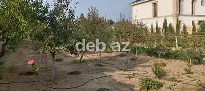 12 sot, Kənd təsərrüfatı, Kupça (Çıxarış) — kiçik şəkil 4