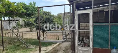 Tikinti, Bələdiyyə — kiçik şəkil 7
