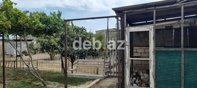 Tikinti, Bələdiyyə — kiçik şəkil 6