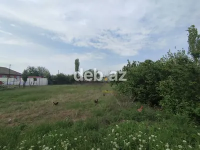 15 sot, Kənd təsərrüfatı, Mülkiyyətçi, Kupça (Çıxarış) — kiçik şəkil 1