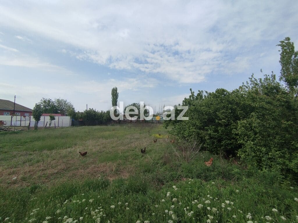 15 sot, Kənd təsərrüfatı, Mülkiyyətçi, Kupça (Çıxarış) — Biləsuvar