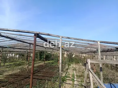 ÇOX TƏCİLİ SATILIR! 6 SOT KUPÇALI “TORPAQ” — CƏMİ 120.000 AZN! — kiçik şəkil 1