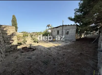 5 sot, Kupça (Çıxarış) — kiçik şəkil 4