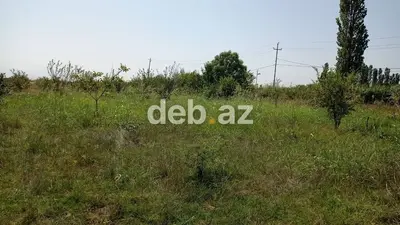 Xaçmazda 14 sot tikinti təyinatlı, kupçalı (çıxarışlı) torpaq sahəsi satılır — kiçik şəkil 1