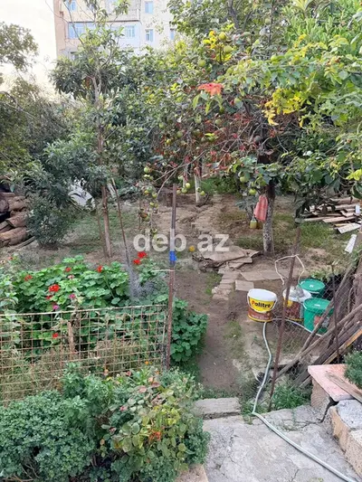 6 sot, Biznes üçün, Mülkiyyətçi, Kupça (Çıxarış) — kiçik şəkil 7
